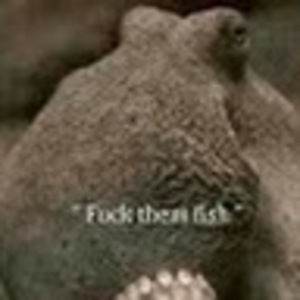 Meet your Posher, Olive